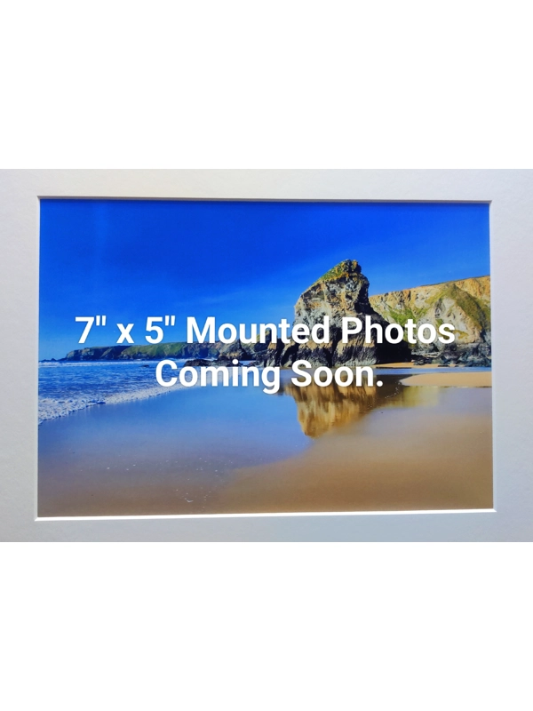 7" x 5" Mounted Photos Coming Soon