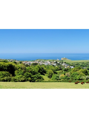 Boscastle A4 Mounted Photo.