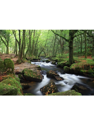 Golitha Falls A4 Mounted Photo