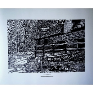 Gilfach Nature Reserve by Trevor Whetstone