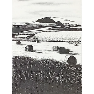 The Fields Are Ripe For Harvest by Trevor Whetstone