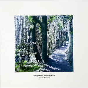 Fine art print of Wear Gifford Woods by Trevor Whetstone
