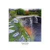 Clapper Bridge by Trevor Whetstone
