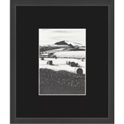 The Fields Are Ripe For Harvest