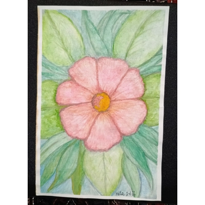 Single Bloom