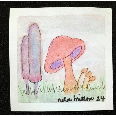 Shrooms