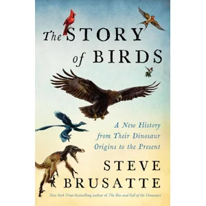 The Story of Birds