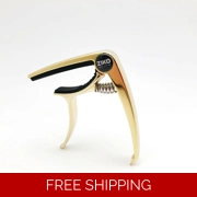Ziko Capo Gold DC-10: Elegance and Precision in One