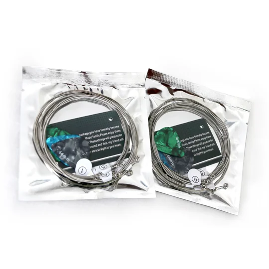 Smiger Electric Guitar Strings 10 Gauge Nickel Wound GSE-010
