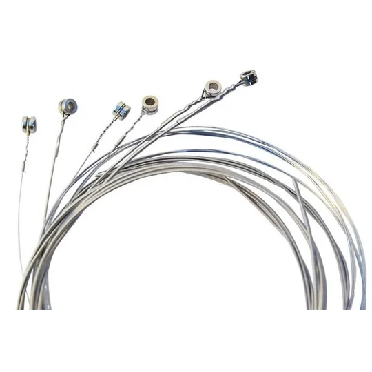 The Rose Electric 10 Gauge RX-E30 Guitar Strings