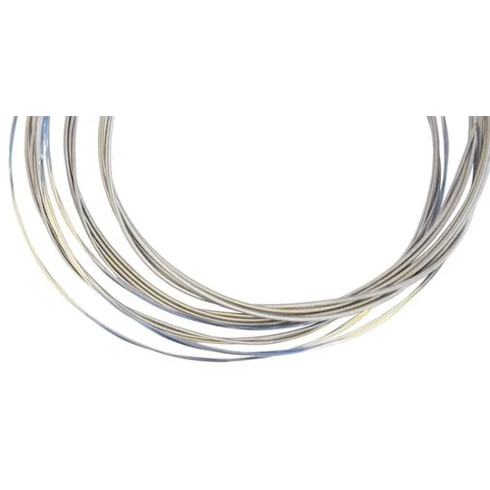The Rose Electric 10 Gauge RX-E30 Guitar Strings