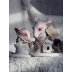 Iva Raven - Friends from the Snow Plains