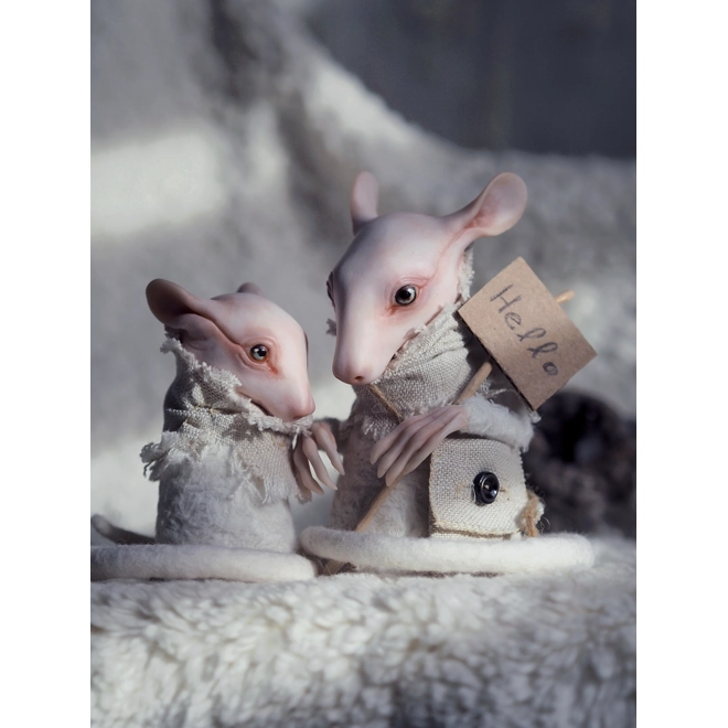 product Image for Iva Raven - Friends from the Snow Plains