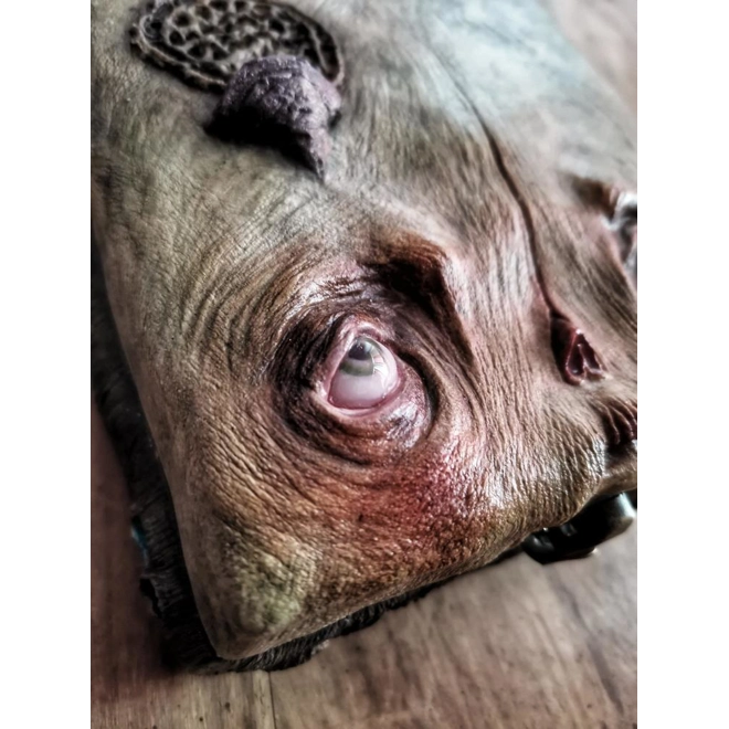 Additional Image for Monstrumflos - Pandoras Box