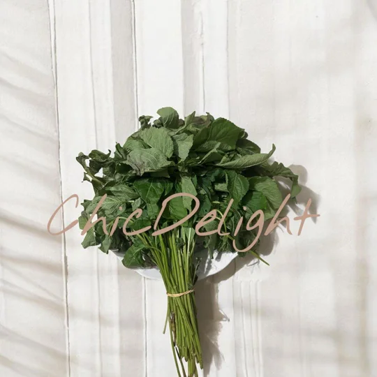 Fresh Scent Leaf per bundle