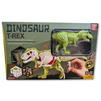 T-Rex Anatomical 3D Model