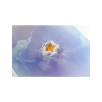 Bath Blaster - Gone with the Wist..