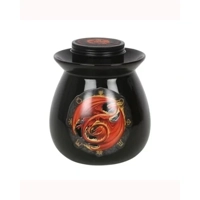 Beltane Wax Melt Burner Gift Set ..
