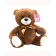 Brown Teddy Bear 30cm