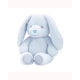 Bunny Soft Toy
