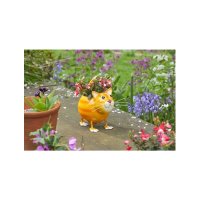 Cat Pot Cat Pot