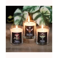 Dark Forest Votive Candle Trio
