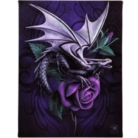 Dragon Beauty Canvas Plaque