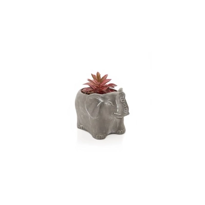 Elephant Planter with Succulent Elephant Planter with Succulent