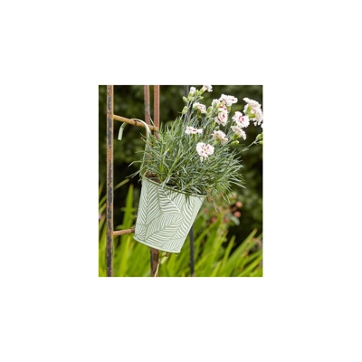 Fern Hanging Pot - Sage Fern Hanging Pot - Sage