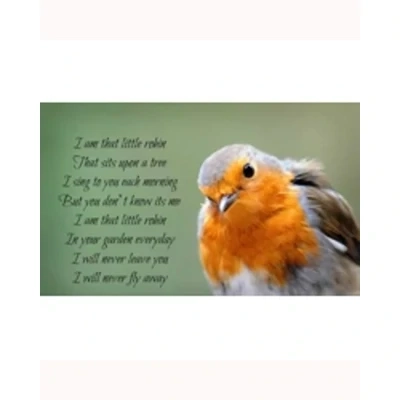 I am that little robin