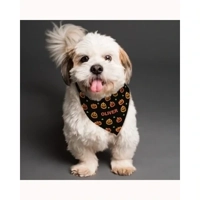 Personalised Pumpkin Patch Dog Ba..