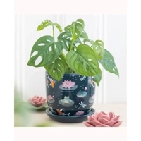 Pond Print Plant Pot with Saucer