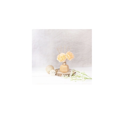 Pottery Diffuser & Flower - Apricot Pottery Diffuser & Flower - Apricot