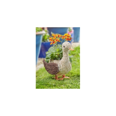 Rattan Planter - Daphne Duck Rattan Planter - Daphne Duck
