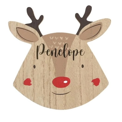 Reindeer Coaster