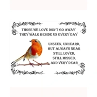 robin a4 laminated print