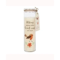 Robins Appear Cranberry Tube Candle