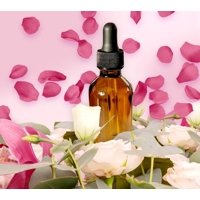 Steam Diffuser Oil 60ml