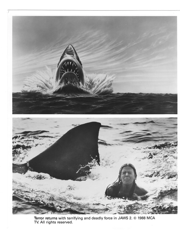 4 Jaws 2 II Shark Attack Artwork Roy Scheider Press Photo Publicity Promo Still