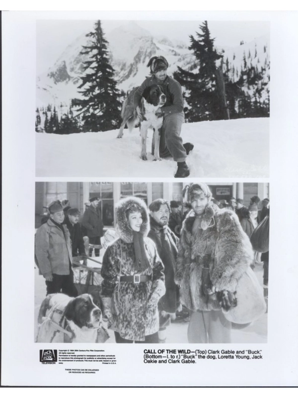 Call of the Wild Clark Gable Loretta Young Jack Oakie Buck Dog Press Photo Movie