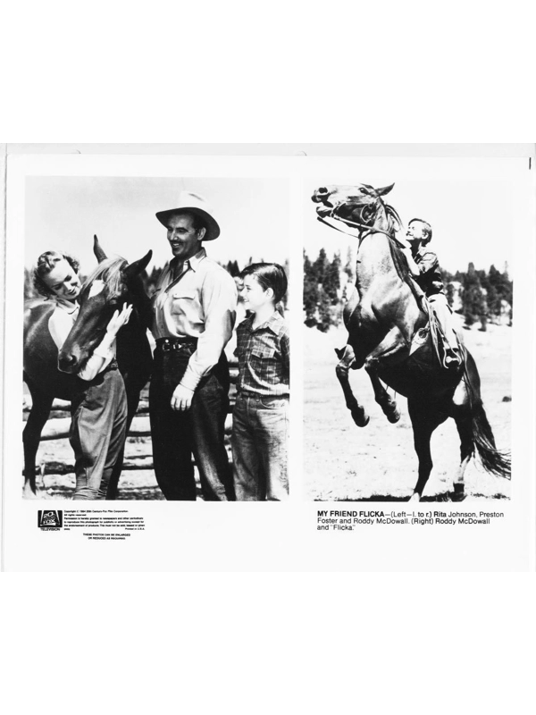 My Friend Flicka Roddy McDowell Rita Johnson Preston Foster Press Photo Movie
