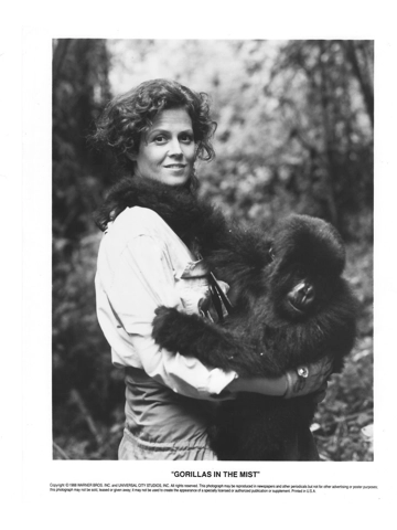 1988 Gorillas in the Mist Sigourney Weaver Dian Fossey Press Photo Movie Still