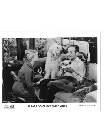 Please Don't Eat the Daisies David Niven Doris Day Press Photo Movie Still B&W