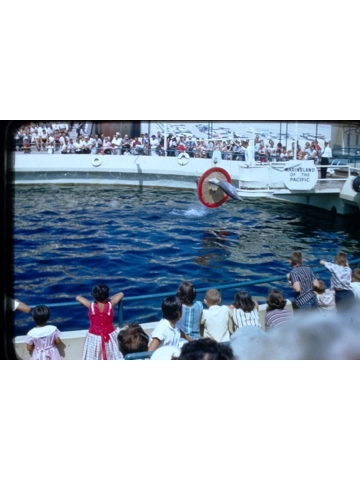 8 Vtg 1957 Amateur Shot Marineland of the Pacific 35MM Slides Dolphins Jumping