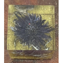 Thistle Cube
