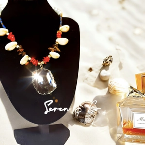 The Seychelles spirit choker necklace (Tigers Eye & shells)