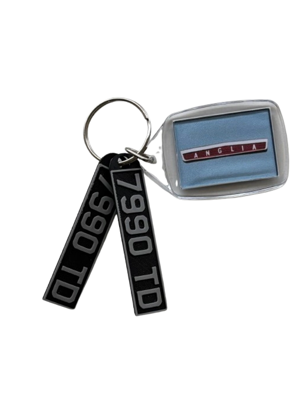 Harry Potter Ford Anglia