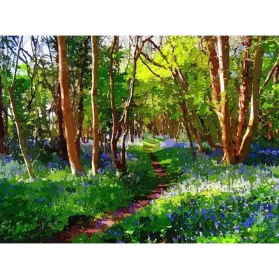 Blue bells Forest of Dean Blue bells Forest of Dean
