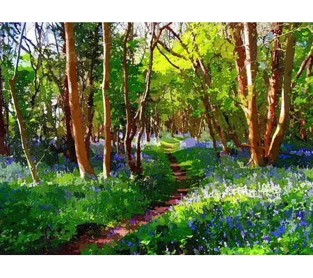 Blue bells Forest of Dean