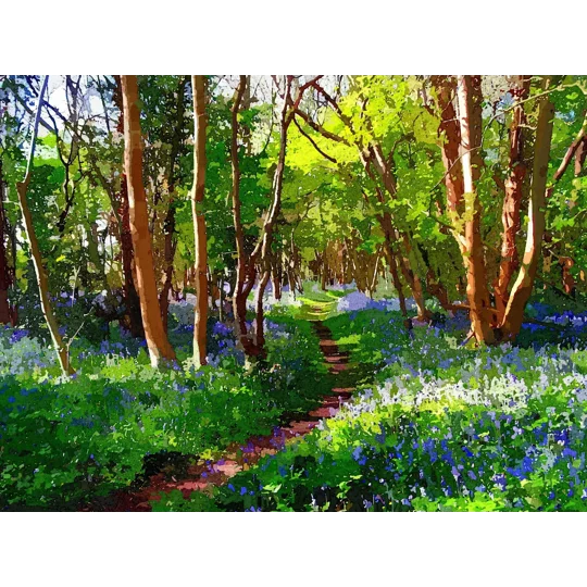 Blue bells Forest of Dean